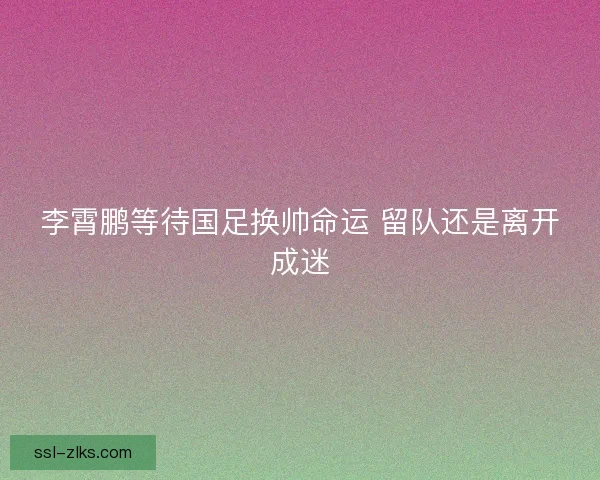 李霄鹏等待国足换帅命运 留队还是离开成迷