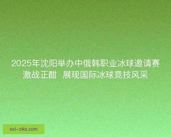 2025年沈阳举办中俄韩职业冰球邀请赛激战正酣  展现国际冰球竞技风采